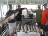 (08/05/2017) - Nice Striped Bass